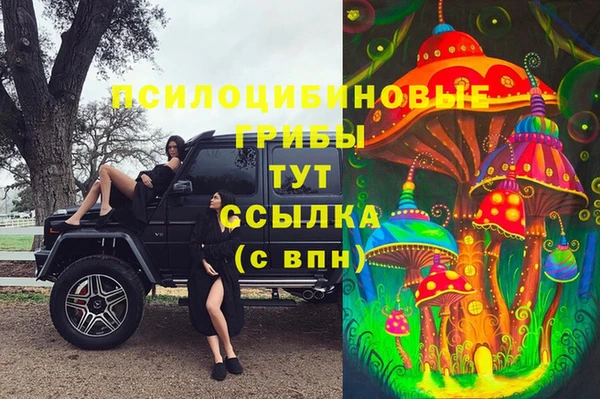 каннабис Арсеньев