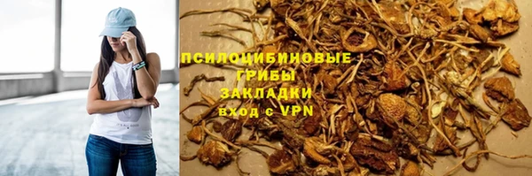 амф Балахна