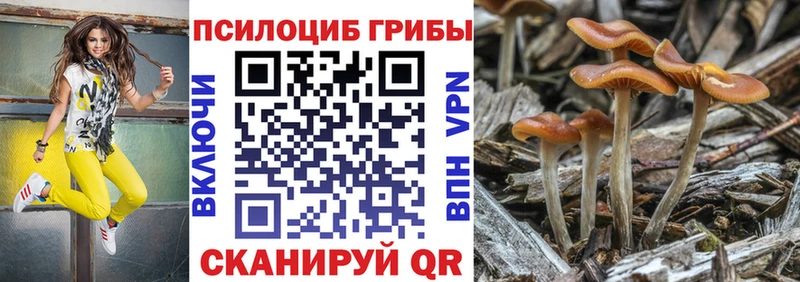 наркота  Нея  Псилоцибиновые грибы MAGIC MUSHROOMS 